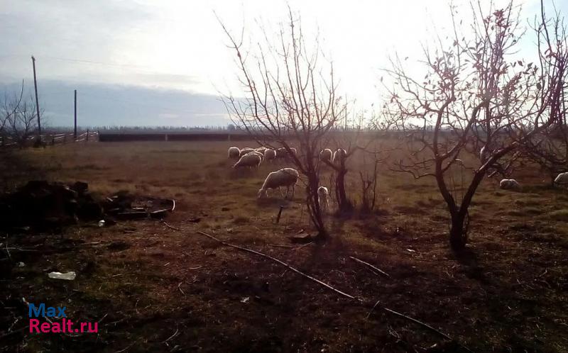 Красноперекопск село Правда