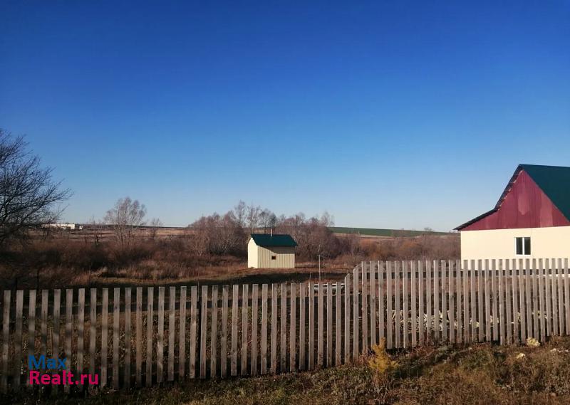 Мелеуз село Троицкое, Николаевская улица