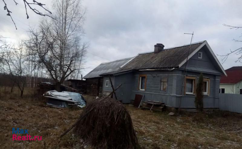 Луга Новгородская область, деревня Белая