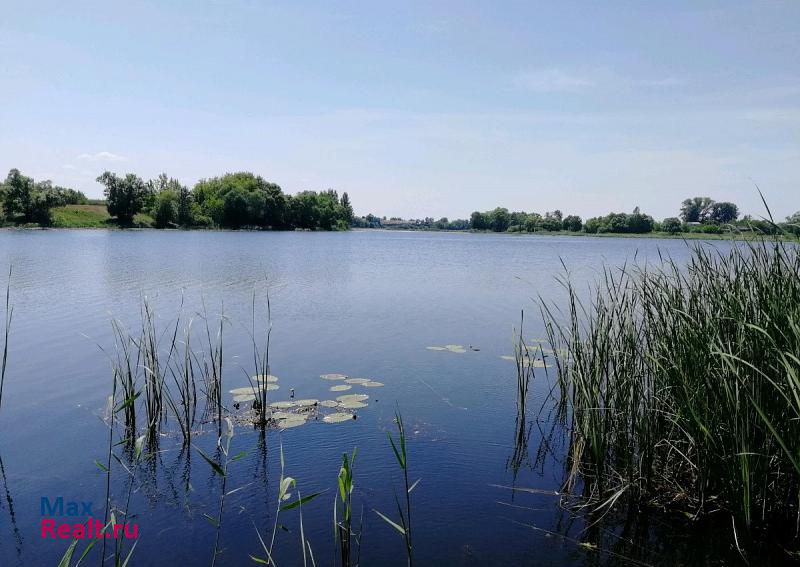 Моршанск Моршанский район, село Коршуновка