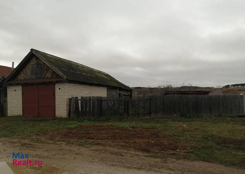 Елабуга Танайское сельское поселение, село Танайка, Береговой переулок, 8