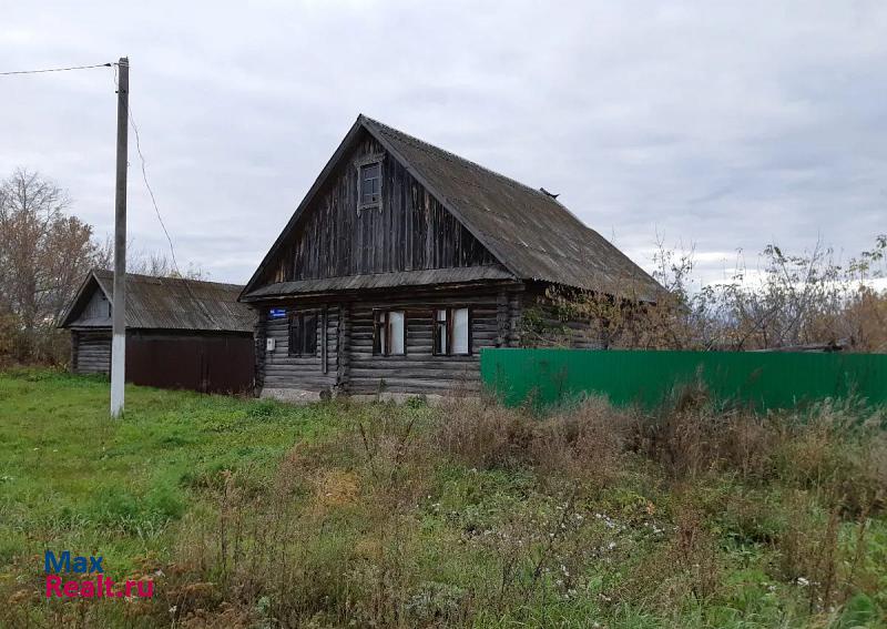 Заинск село Алексеевка