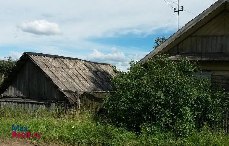 Невель деревня, Невельский район, Бородино