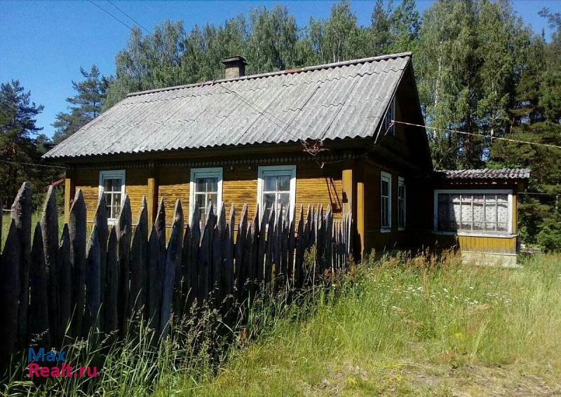 купить частный дом Гдов Гдовский район, село Чернёво