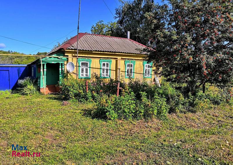 купить частный дом Ельники село Булаево, улица Ленина