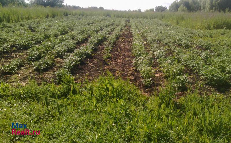 Сокольники село Холтобино