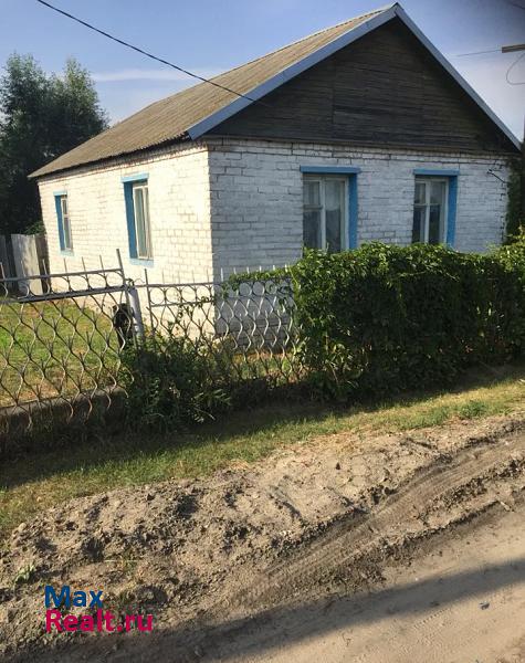 купить частный дом Новоспасское посёлок городского типа Новоспасское