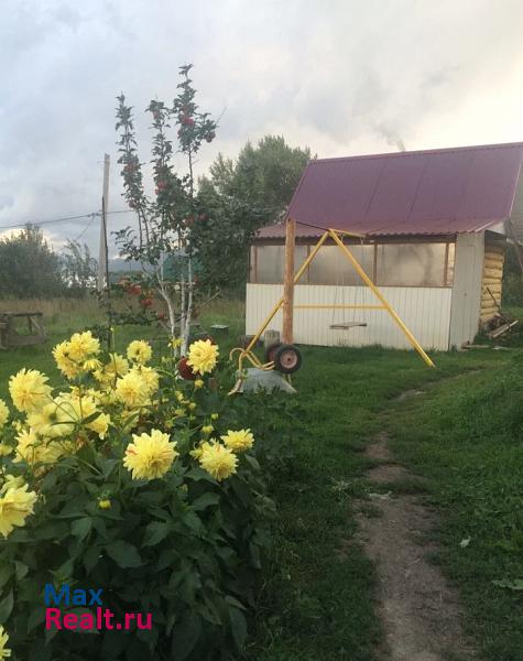 Алтайское село Алтайское, Звёздная улица