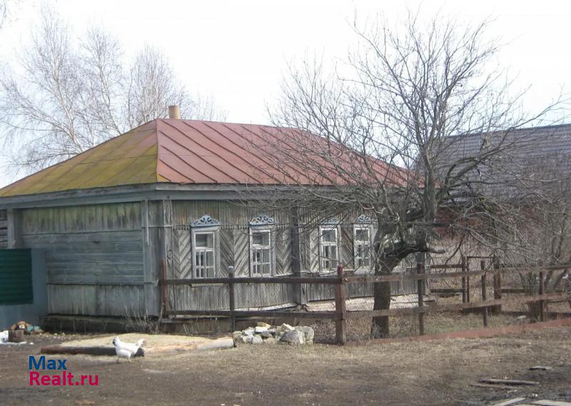 купить частный дом Шацк с. Токарево, ул Первомайская д. 19