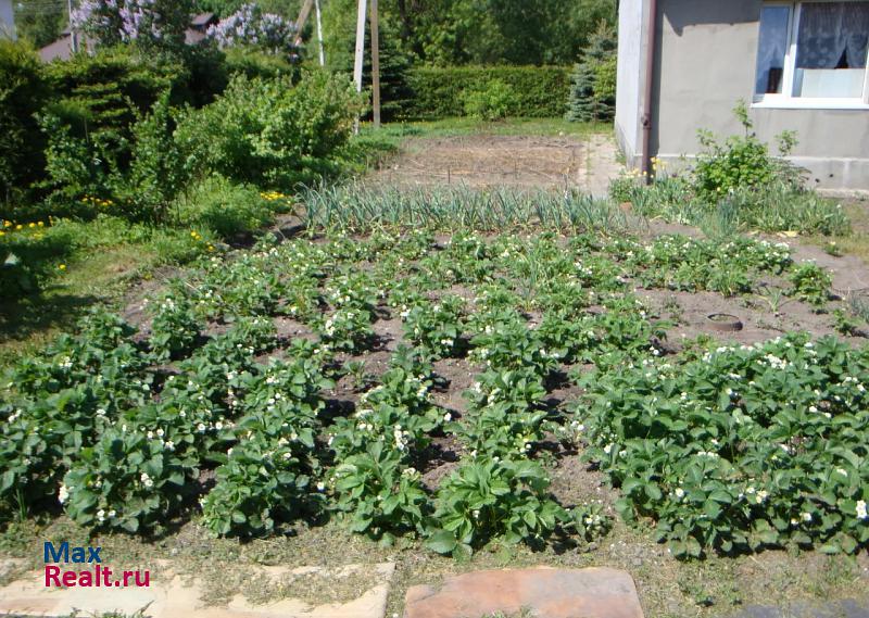 Гусев Гусевский городской округ, поселок Ольховатка