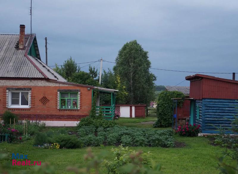 купить частный дом Промышленная поселок городского типа Промышленная, Звёздная улица, 16