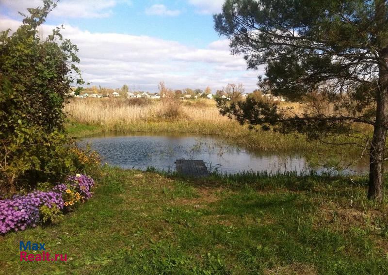 купить частный дом Чертково посёлок городского типа Чертково, Речная улица