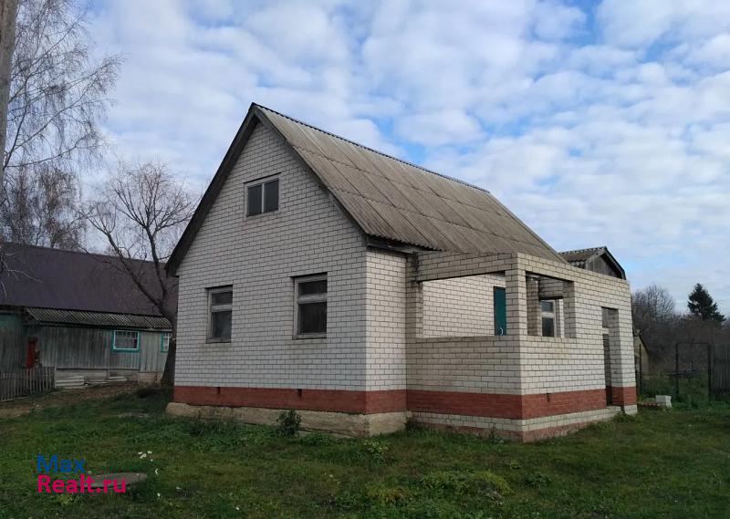 Дивеево сельское поселение Елизарьевский сельсовет, село Елизарьево