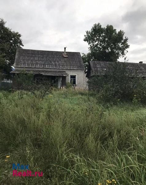 Большое Полпино городской округ Брянск, посёлок Большое Полпино, посёлок Снежка частные дома