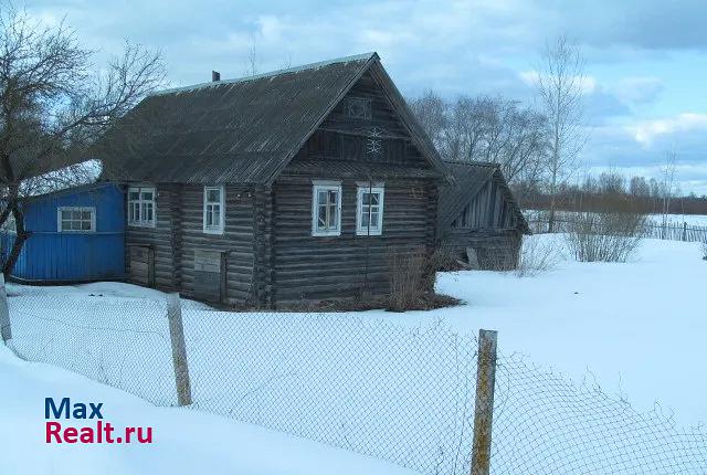 Порхов Деревня Береза