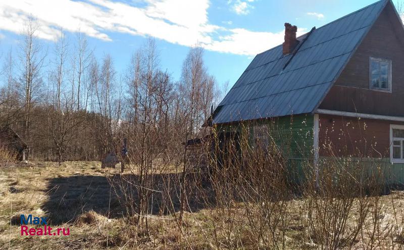 Усть-Луга Усть-Лужское сельское поселение, деревня Лужицы частные дома