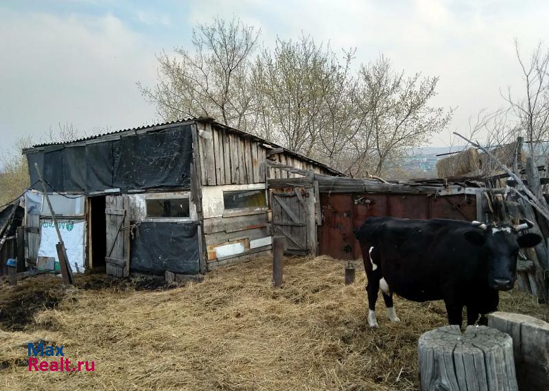 Карагайлинский село Бурлаки, Пушкинская улица частные дома