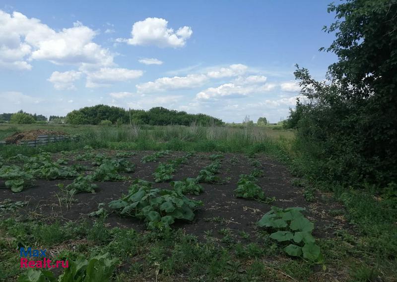 Платоновка село Дмитриевщина, Октябрьская улица частные дома