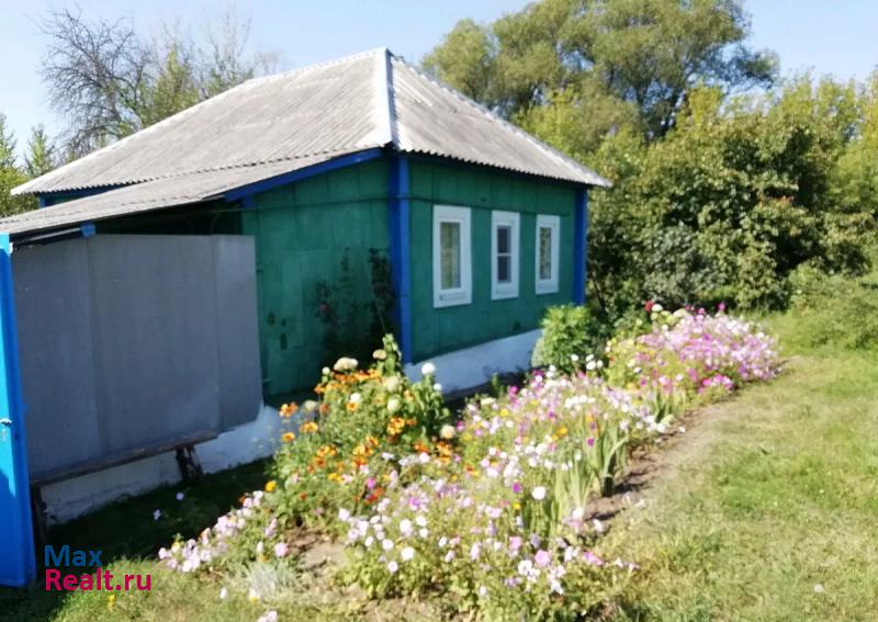 Роговатое село, городской округ Старооскольский, Луганка частные дома