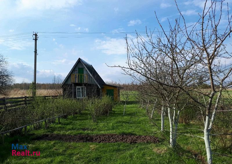 Остров Калининская волость, д.Рудаки