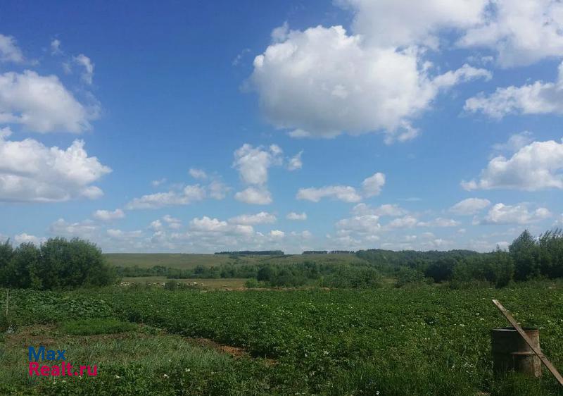 Богатые Сабы Старозюринское сельское поселение, село Старые Зюри