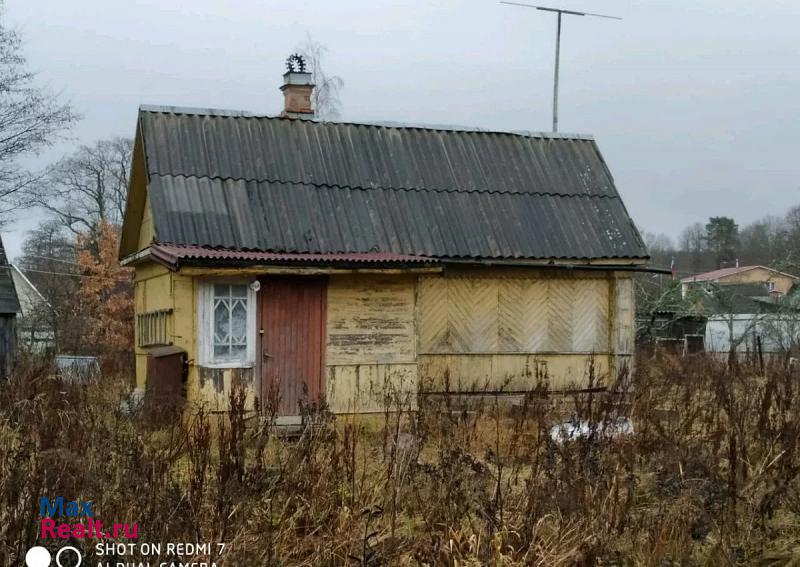 Лебяжье Лебяженское городское поселение, деревня Чёрная Лахта частные дома