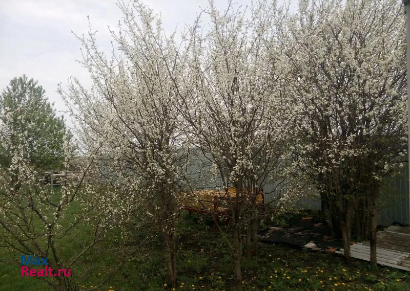 Наровчат село Студенец частные дома