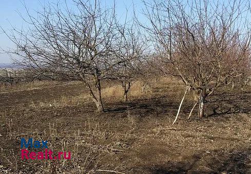 Тёплое Тульская обл., Тепло-Огаревский р-п частные дома