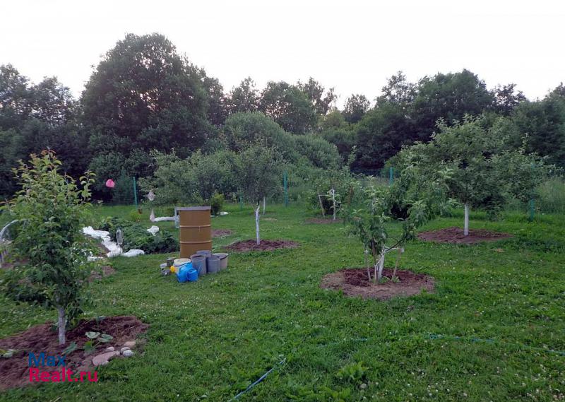 Псков деревня Горушка, Палкинский район частные дома