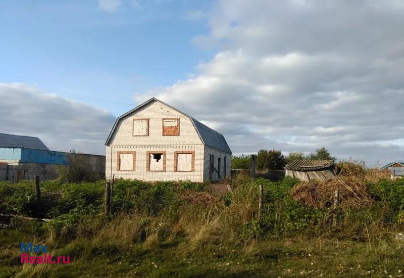 Ишеевка село Новая Беденьга, Центральная улица, 25 частные дома