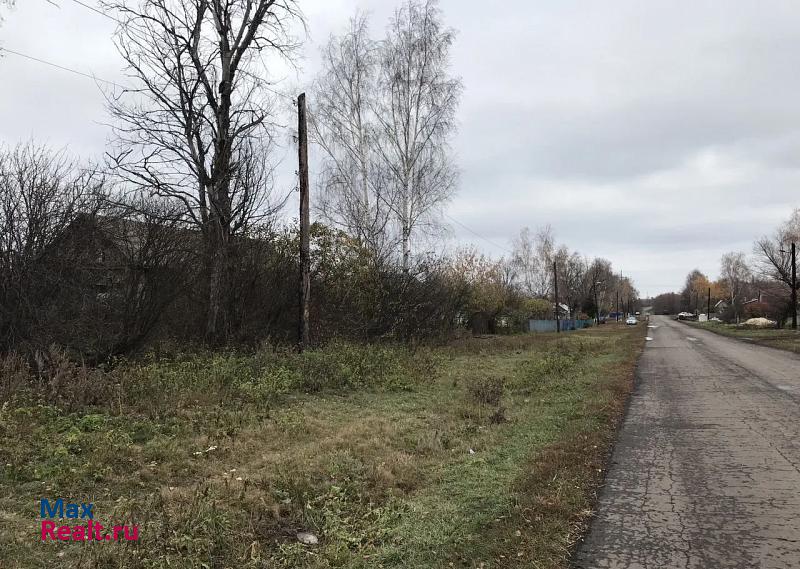 Александро-Невский деревня Бахметьево, улица Мичурина частные дома