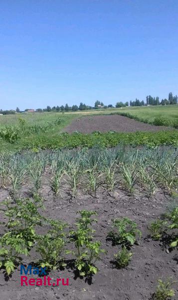 Медвенка село Высокое частные дома