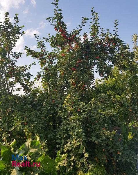 Елово село Ножовка, улица Декабристов частные дома