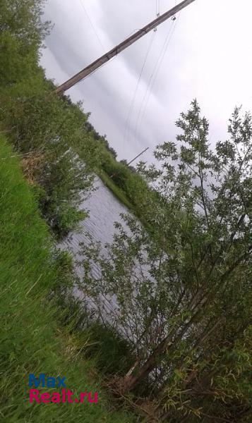 Вознесенское Нижегородская обл., Вознесенский район, д. Козлейка. частные дома