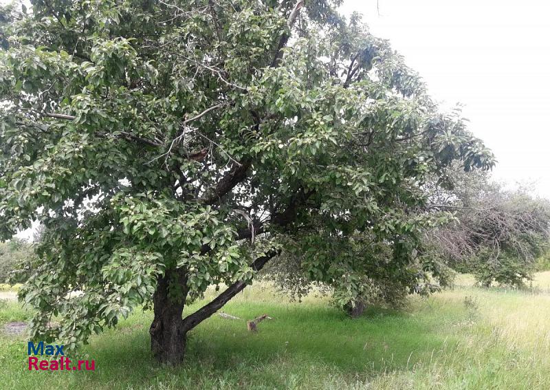 Репьевка село Россошь, Центральная улица частные дома