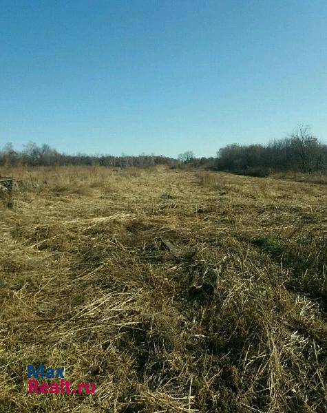 Благовещенск село Богородское, Партизанская улица, 35 частные дома