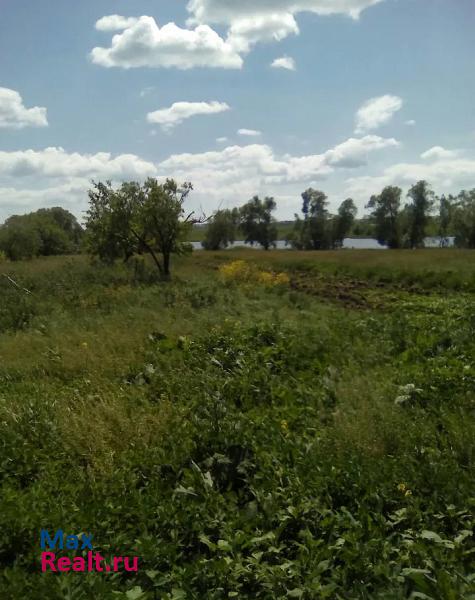 Токаревка Токарёвский р-н, с. Громушка частные дома