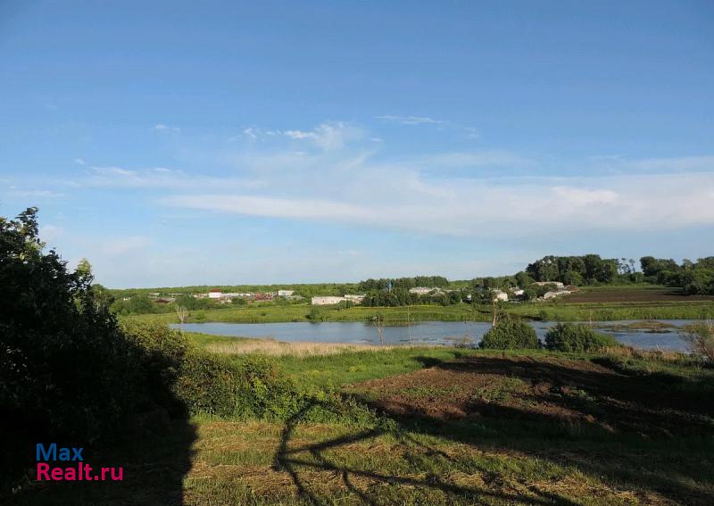 Спасское село Сосновка частные дома