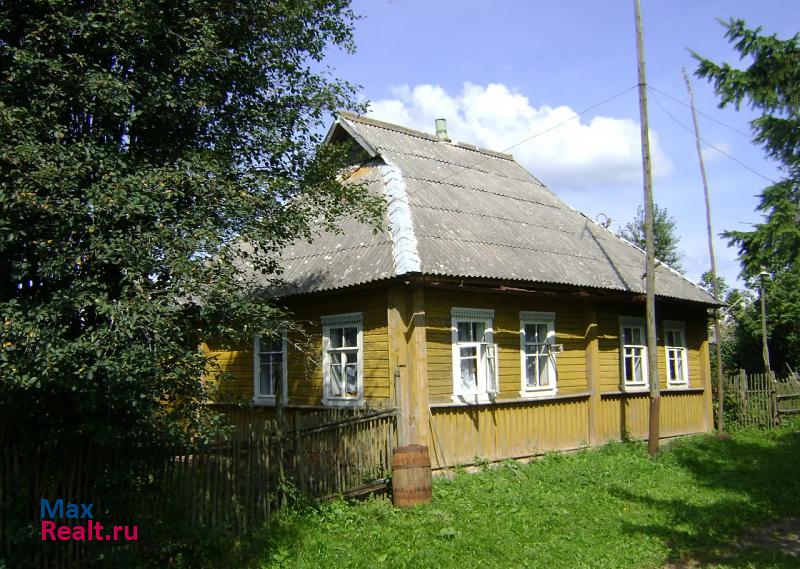 Бежаницы деревня, Бежаницкий район, Филино частные дома