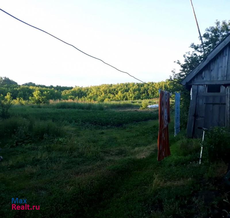 Большие Березники Ульяновская область, село Тияпино частные дома