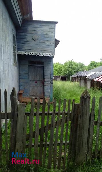 Спасское Нижегородская область Спасский район д. Новое Дружково ул.Костериха д.42 частные дома