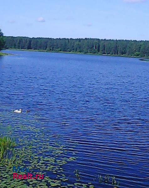 Пено Пеновский район п. Охват ул. Сенная д.11 частные дома