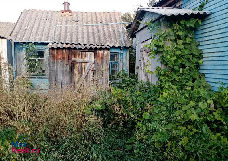 Репьевка Белгородская область, село Сетище частные дома