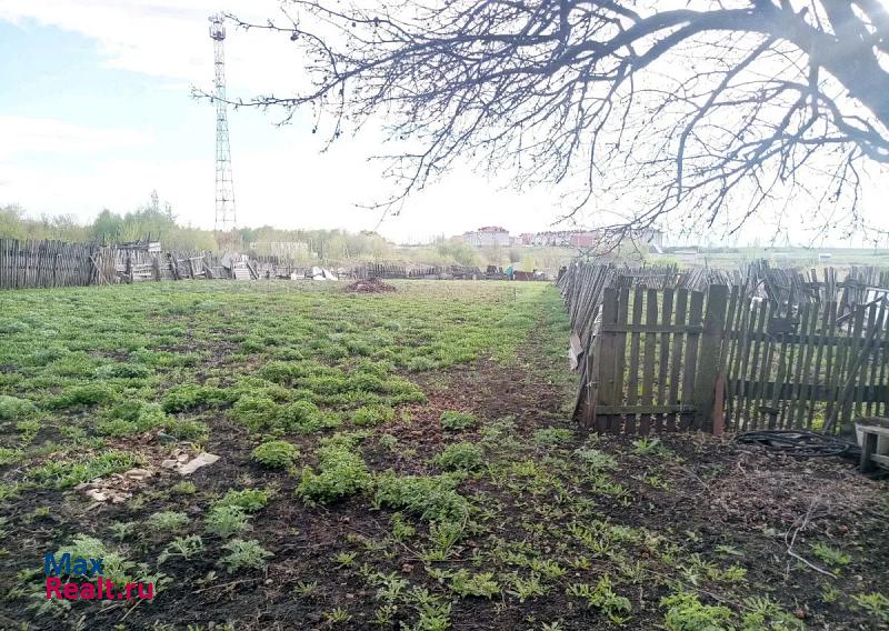 Александро-Невский поселок городского типа Александро-Невский, Набережная улица, 10 частные дома