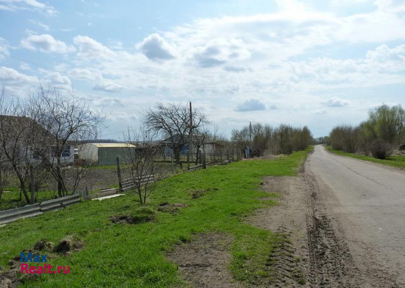 Александро-Невский деревня Мары частные дома