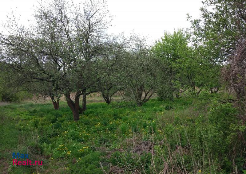 Горшечное село Нижние Борки частные дома