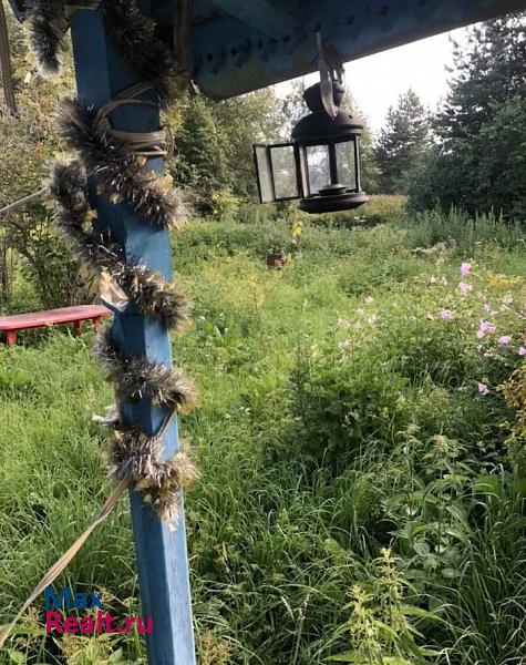 Петровское село Краснораменье частные дома