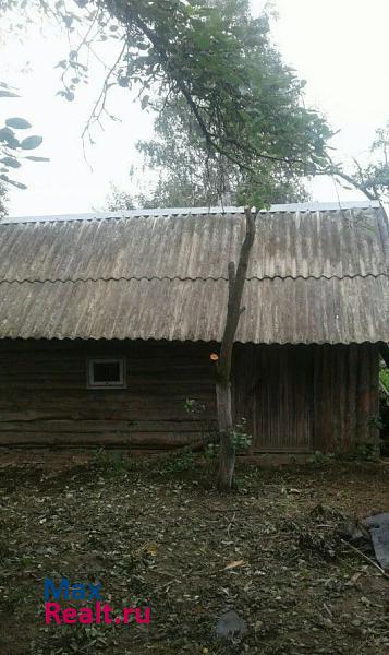 Злынка Хальчанский сельсовет, деревня Золотой Рог частные дома