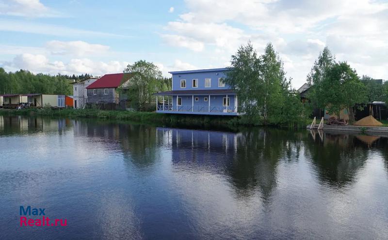 городской округ Солнечногорск, деревня Жилино, 19 Менделеево