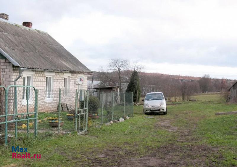 Новоржев деревня Вехно, Преображенская улица частные дома